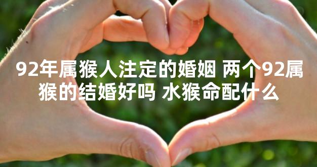 92年属猴人注定的婚姻 两个92属猴的结婚好吗 水猴命配什么